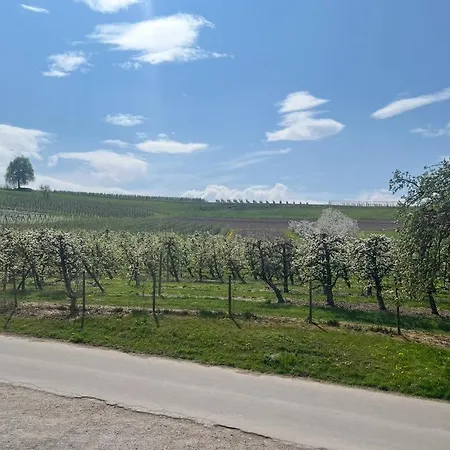 Am Taubenberg Apartman