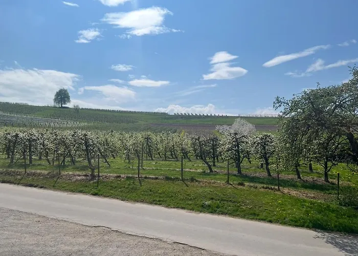 Am Taubenberg Apartman